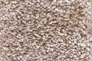 Ковролин AW Masquerade Dioniso 40 фото  | FLOORDEALER